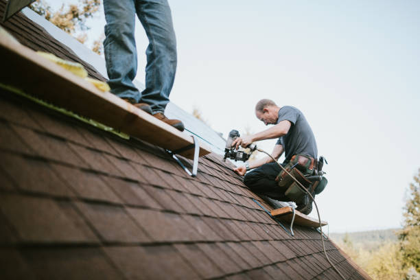 Best Roof Gutter Cleaning  in Ashdown, AR